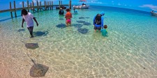 Honeymoon Harbor Stingrays